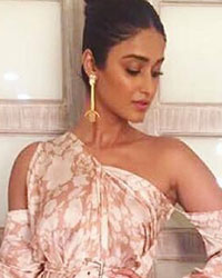 Ileana D Cruz